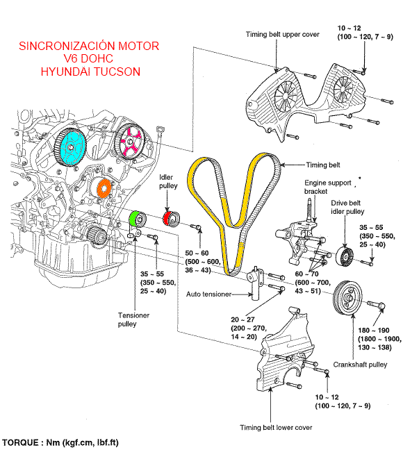 Sincronización motor Hyundai Tucson V6 DOHC