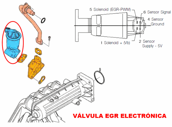 Conector de válvula EGR electrónica