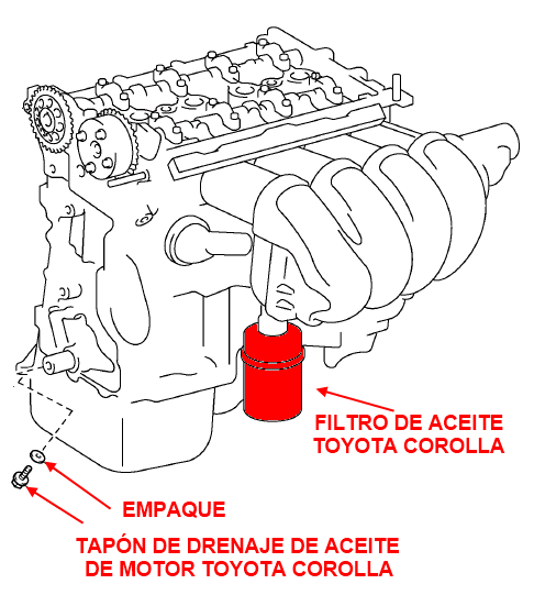 Ubicación de filtro de aceite y tapón del cárter Toyota Corolla