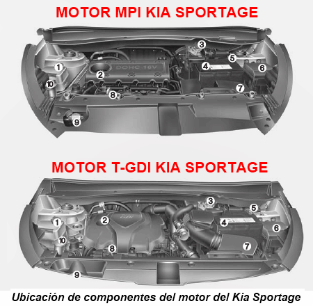 Ubicación de componentes del motor del Kia Sportage